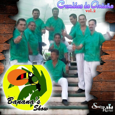 Cumbias De Antaño Vol. 2