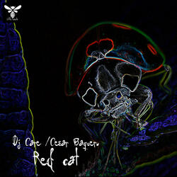 Red Cat