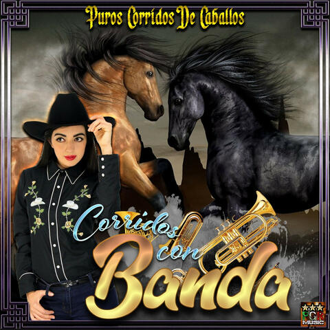 Puros Corridos De Caballos