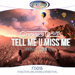Tell Me U Miss Me (feat. TK)