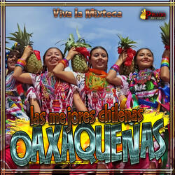 Mi Lindo Oaxaca