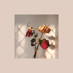 wilted roses