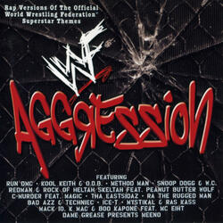 You Ain't Hard (New Age Outlaws Theme)