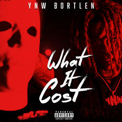 What It Cost