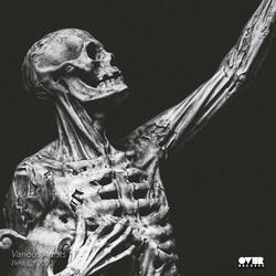 Driving Through Elle