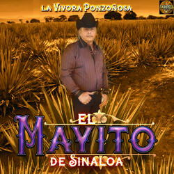 La Feria De Las Flores