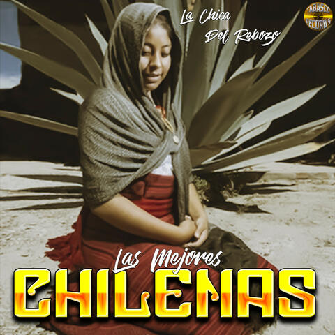 La Chica Del Rebozo