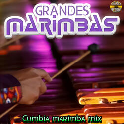 Ritmo Que Quema