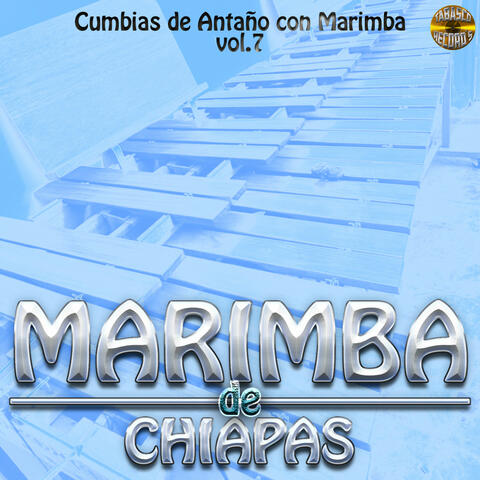 Cumbias De Antaño Con Marimba Vol. 7