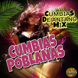 Conga Y Timbal