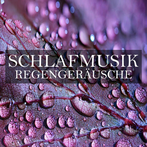 Schlafmusik: Regengeräusche