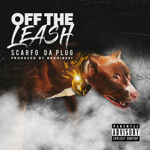 Off The Leash (feat. Brodinski)