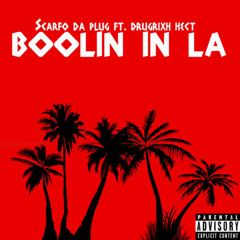 Boolin in LA