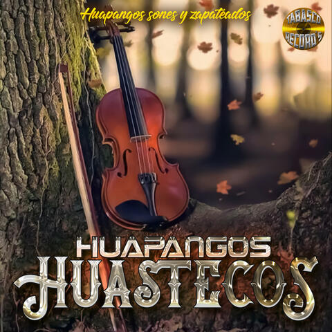 Huapangos Sones Y Zapateados