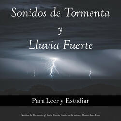 Canto de los Pájaros con Lluvia de Fondo