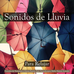 Sonidos Naturales Relajantes: Lluvia Suave