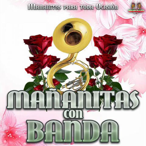 Mañanitas Para Toda Ocasion