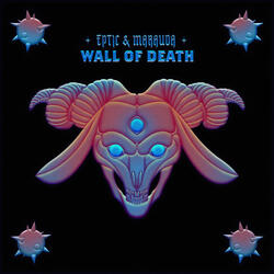 Wall Of Death
