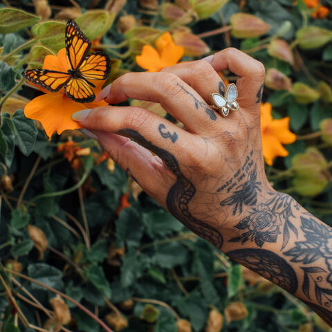 Butterfly Wings