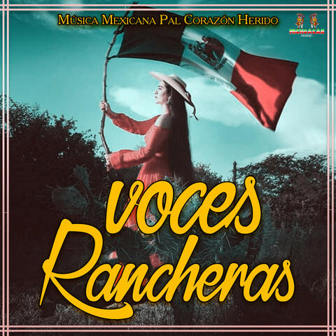 Musica Mexicana Pal Corazon Herido