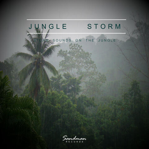 Jungle Storm - Storm Sounds On The Jungle