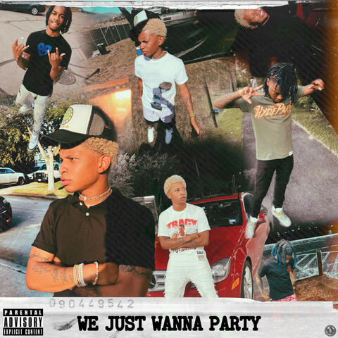 We Just Wanna Party