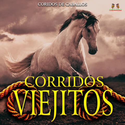 Corridos De Caballos