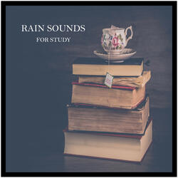 Rain Sounds for Study, Pt. 01