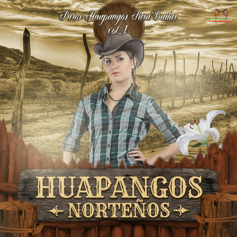 Puros Huapangos Para Bailar Vol. 1