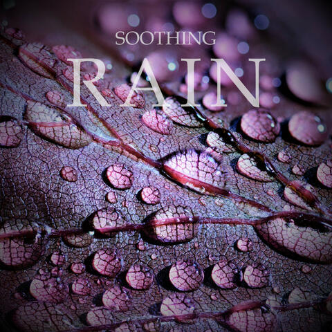 Soothing Rain