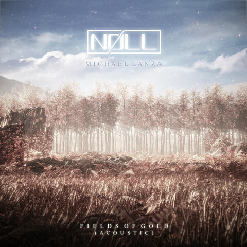 Fields of Gold (with Michael Lanza) - Acoustic