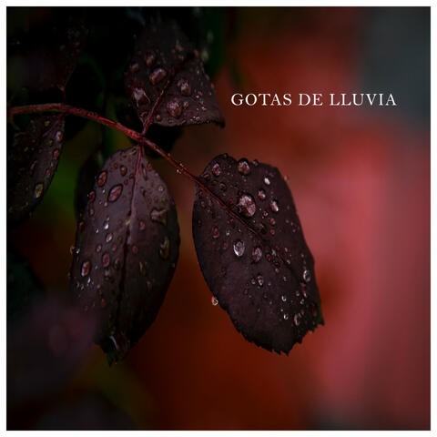 Gotas de Lluvia