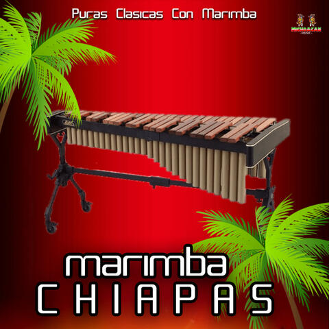 Puras Clasicas Con Marimba