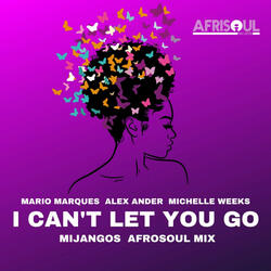 I Can't Let You Go