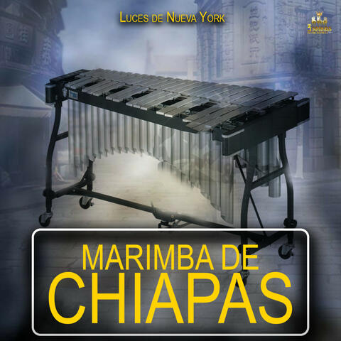 Luces De Nueva York