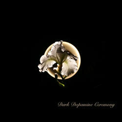 Dark Dopamine Ceremony