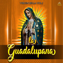 Noche Azul Guadalupana