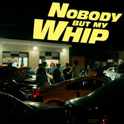 Nobody But My Whip