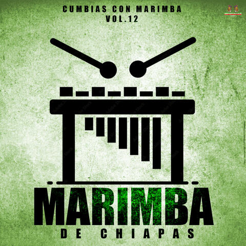 Cumbias Con Marimba Vol. 12
