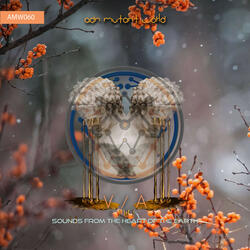 Unknown Sounds