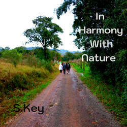White Noize Farm Ordinary Day