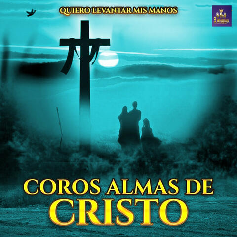 Quiero Levantar Mis Manos