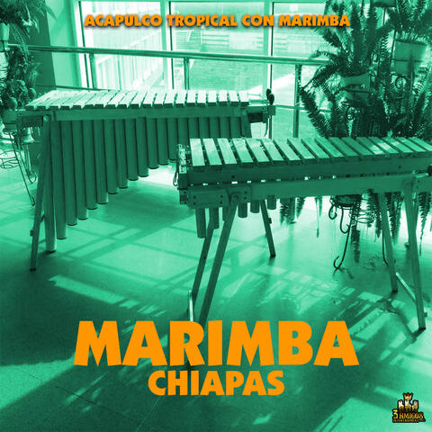 Acapulco Tropical Con Marimba