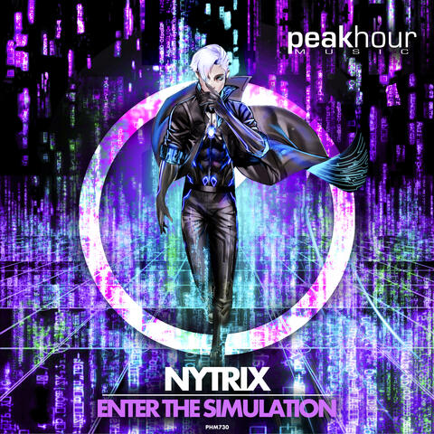 Enter The Simulation