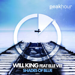 Shades of Blue (feat. Elle Vee)