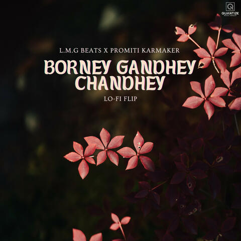 Borney Gandhey Chandhey (Lo-fi Flip)