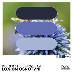 Nipigie Boogie (Rework)