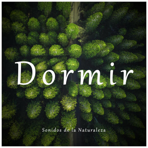 Dormir con Sonidos de la Naturaleza