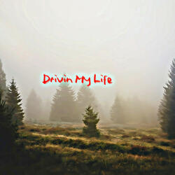 Drivin My Life