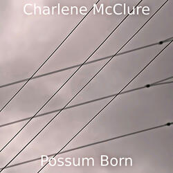 Possum Born